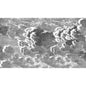 114/28054-CS NUVOLETTE BLACK/WHITE COLE & SON Wallpaper