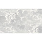 114/28055-CS NUVOLETTE SOOT/SNOW COLE & SON Wallpaper