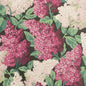 115/1001-CS LILAC Magenta Blush Charcoal Cole & Son Wallpaper