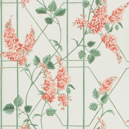 115/5012-CS WISTERIA Coral Sage Parchment Cole & Son Wallpaper