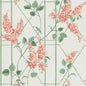 115/5012-CS WISTERIA Coral Sage Parchment Cole & Son Wallpaper