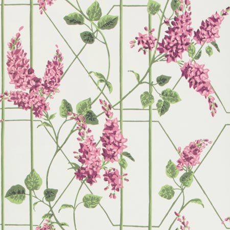 115/5013-CS WISTERIA Magenta Green White Cole & Son Wallpaper