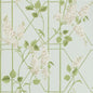 115/5014-CS WISTERIA Stone Olive Duck Egg Cole & Son Wallpaper