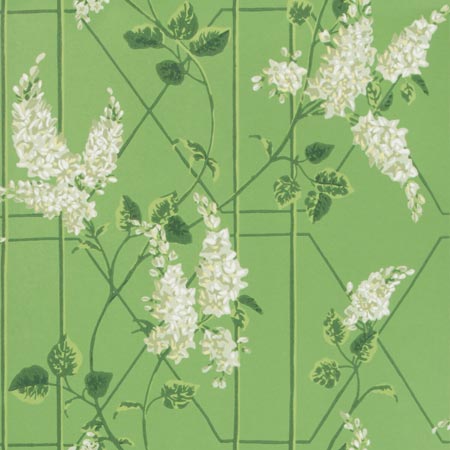 115/5016-CS WISTERIA Sage Leaf Green Cole & Son Wallpaper