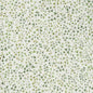 115/6018-CS MAIDENHAIR Olive Cole & Son Wallpaper