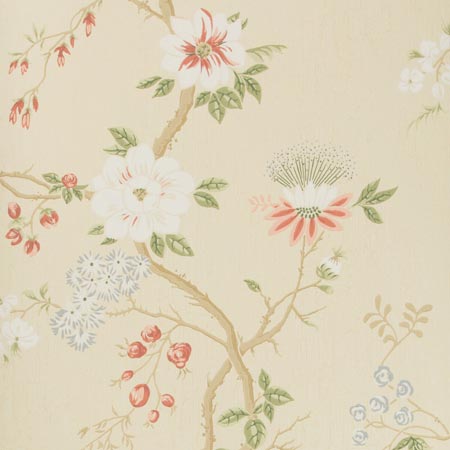 115/8023-CS CAMELLIA Coral Sage Buttercup Cole & Son Wallpaper