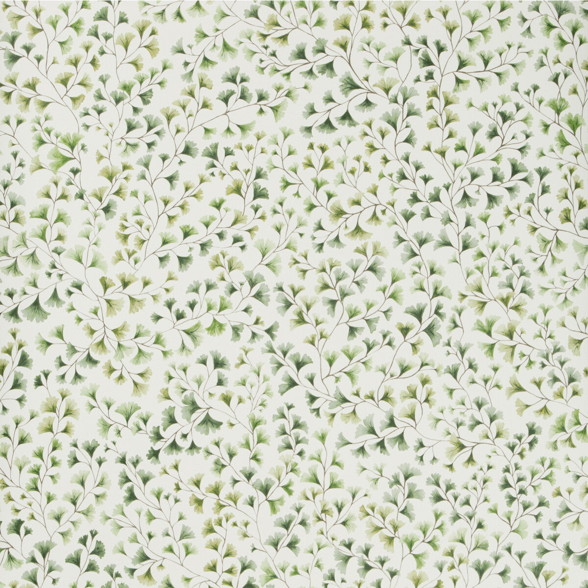 115/6018-CS MAIDENHAIR Olive Cole & Son Wallpaper