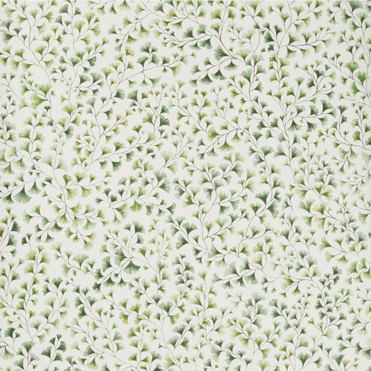 115/6018-CS MAIDENHAIR Olive Cole & Son Wallpaper