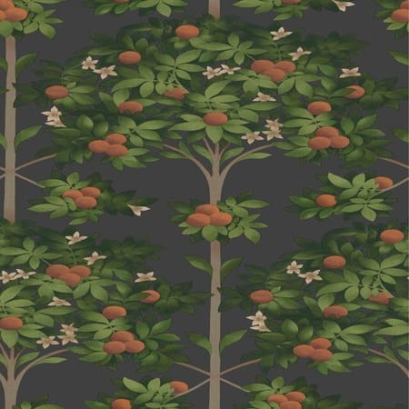 117/1003-CS Orange Blossom Orange & Spring Green Black Cole & Son Wallpaper