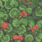 117/11033-CS Geranium Rouge & Leaf Greens On Black Cole & Son Wallpaper