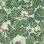 117/11035-CS Geranium White & Sage On Seafoam Cole & Son Wallpaper