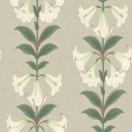 117/3007-CS Angels Trumpet Chalk & Sage On Stone Cole & Son Wallpaper