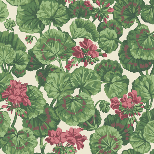 117/11034-CS GERANIUM ROSE/FOREST GRN ON PARCHMENT  COLE & SON Wallpaper