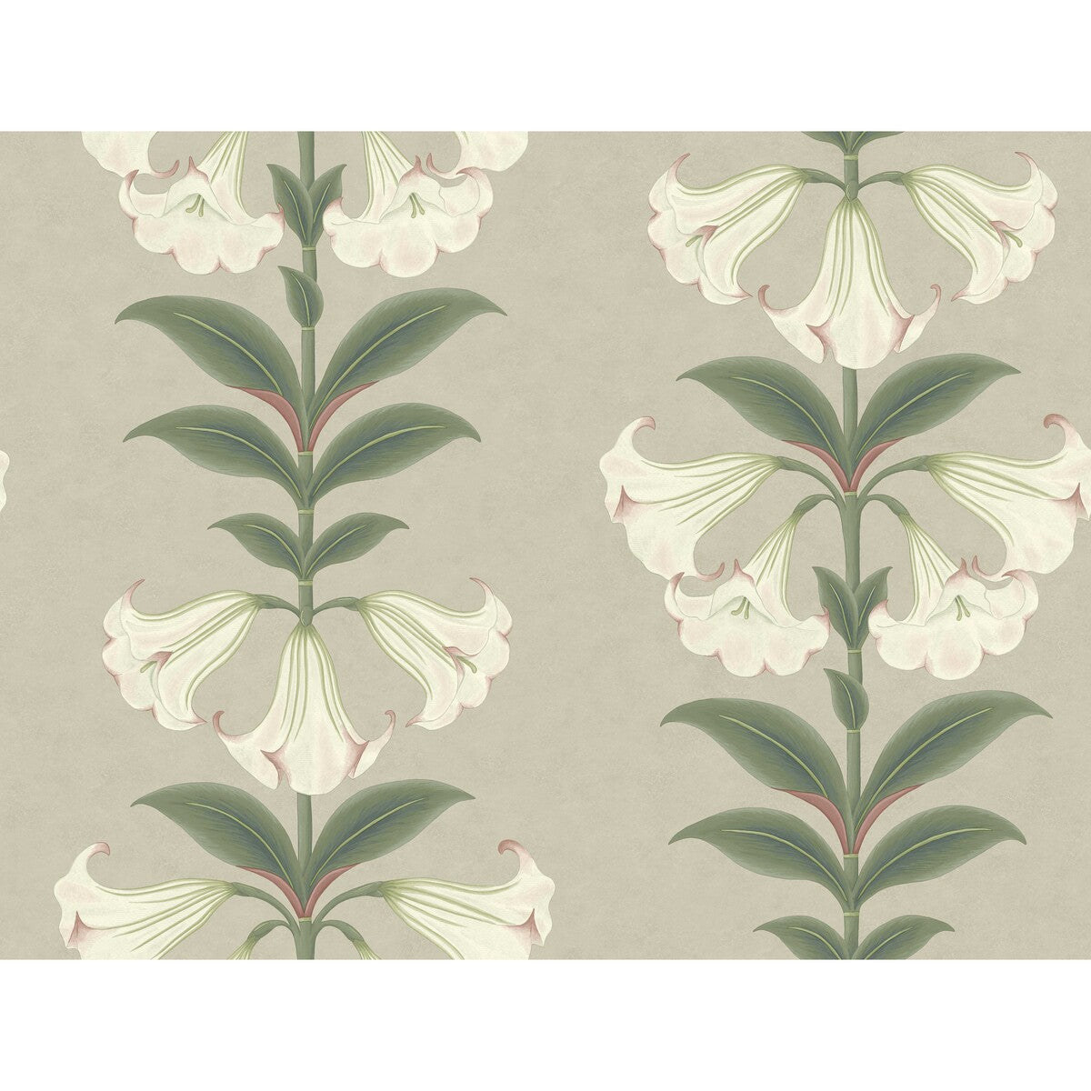 117/3007-CS Angels Trumpet Chalk & Sage On Stone Cole & Son Wallpaper