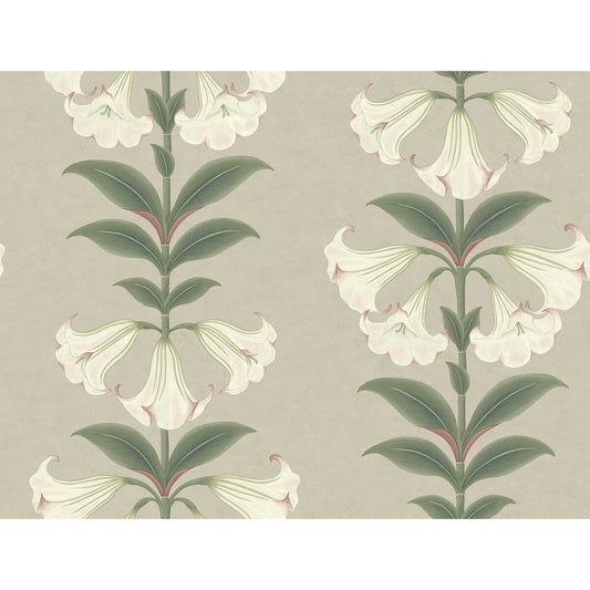 117/3007-CS Angels Trumpet Chalk & Sage On Stone Cole & Son Wallpaper