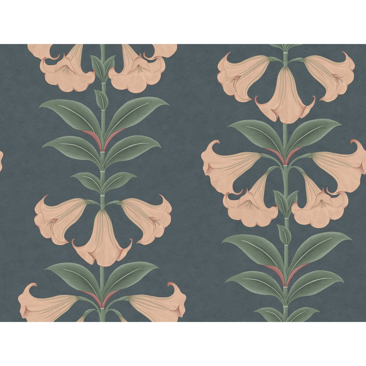 117/3009-CS Angels Trumpet Coral & Viridian On Ink Cole & Son Wallpaper