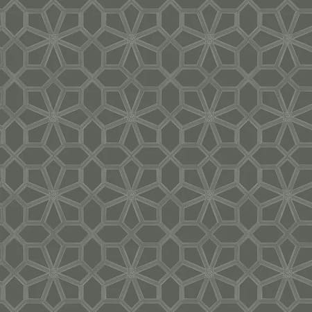 118/16037-CS WOLSEY STARS Chalk Charcoal Cole & Son Wallpaper