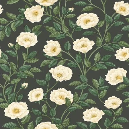 118/7016-CS HAMPTON ROSES Cream Forest Green Cole & Son Wallpaper