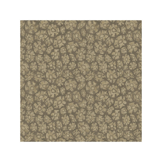 119/4020-CS SAVANNA SHELL GILVER COLE & SON Wallpaper