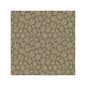 119/4020-CS SAVANNA SHELL GILVER COLE & SON Wallpaper