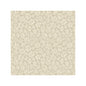 119/4021-CS SAVANNA SHELL PARCHMENT COLE & SON Wallpaper