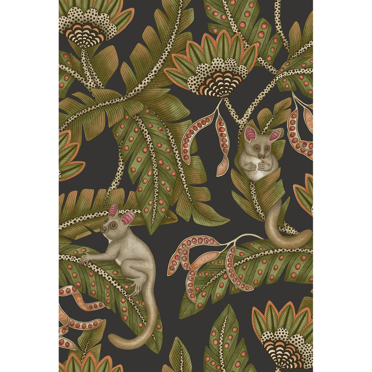 119/7031-CS BUSH BABY SPGRN&ORNG/BLCK COLE & SON Wallpaper