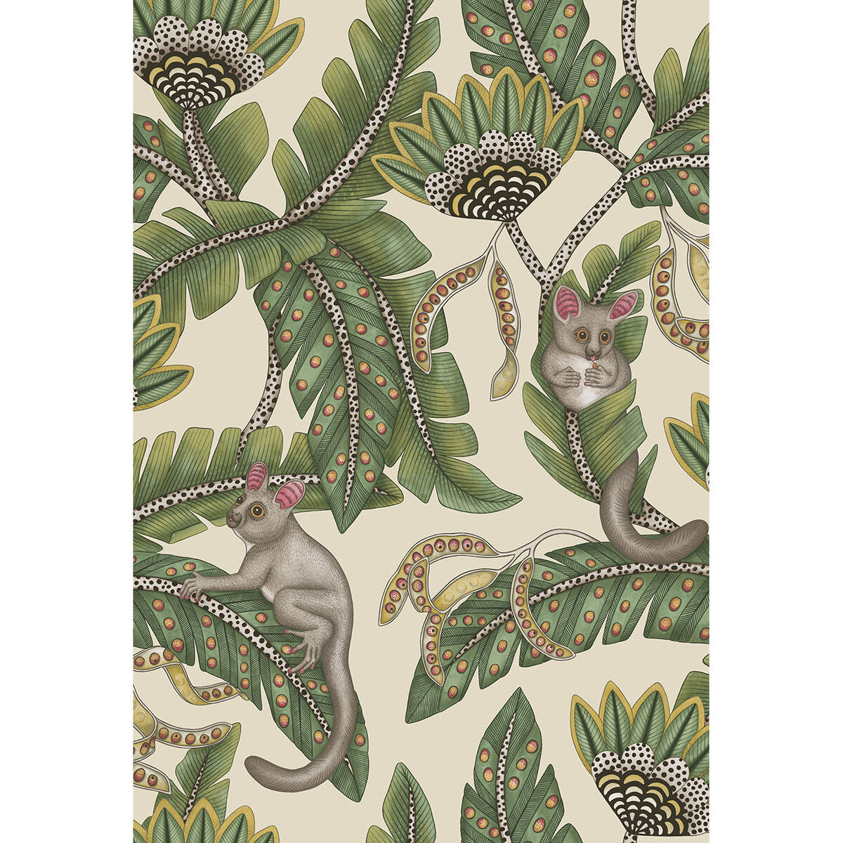 119/7035-CS BUSH BABY SGE&CHRT/PRCHMNT COLE & SON Wallpaper