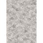 120/2006-CS PETITE FLEUR PLATINUM COLE & SON Wallpaper