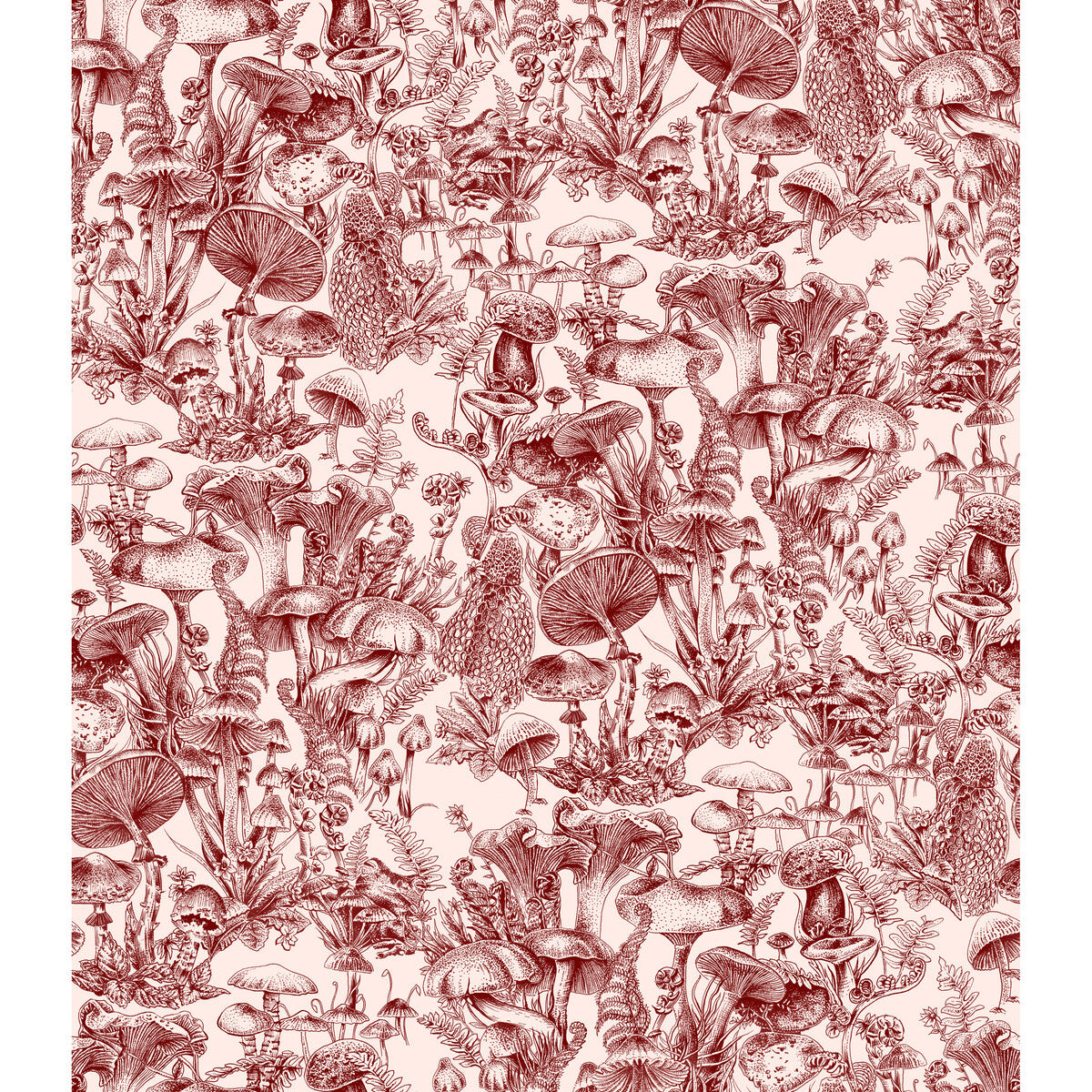 122/1001-CS FUNGI FOREST BURGUNDY COLE & SON Wallpaper