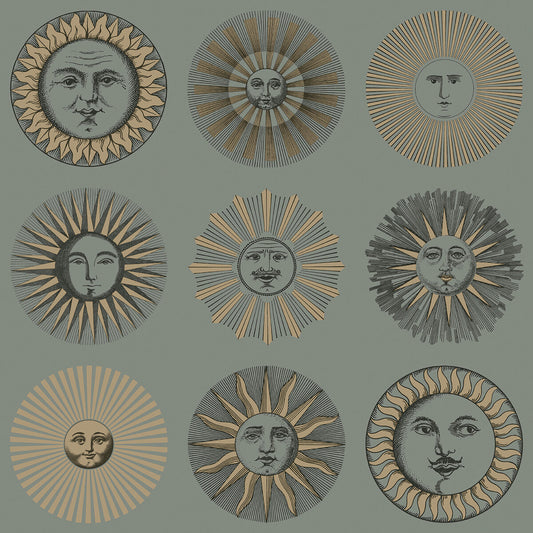 123/1003-CS SOLI SAGE & ROSE GOLD COLE & SON Wallpaper