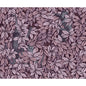 123/10048-CS FOGLIE E SCIMMIE BLUSH COLE & SON Wallpaper