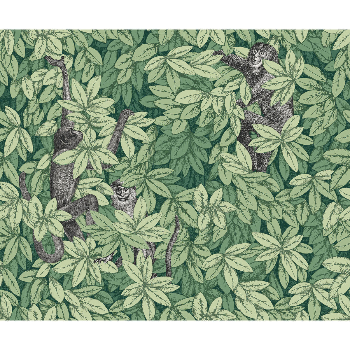 123/10049-CS FOGLIE E SCIMMIE GREEN COLE & SON Wallpaper