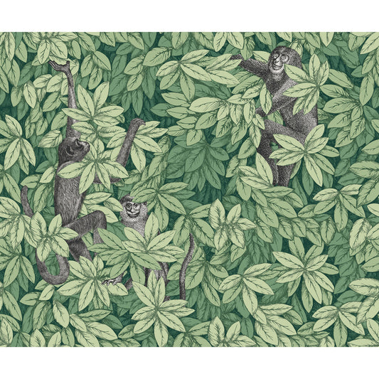 123/10049-CS FOGLIE E SCIMMIE GREEN COLE & SON Wallpaper