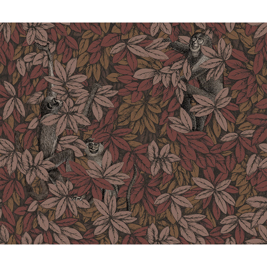 123/10050-CS FOGLIE E SCIMMIE AUTUMNAL COLE & SON Wallpaper