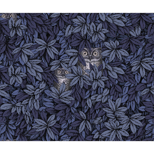 123/11053-CS FOGLIE E CIVETTE MIDNIGHT COLE & SON Wallpaper