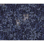 123/11053-CS FOGLIE E CIVETTE MIDNIGHT COLE & SON Wallpaper