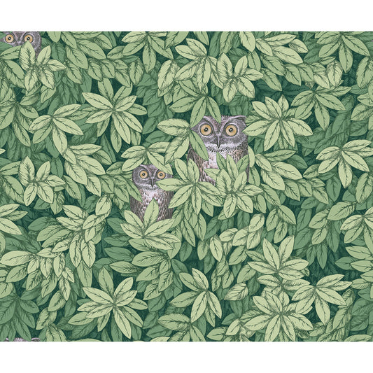 123/11054-CS FOGLIE E CIVETTE GREEN COLE & SON Wallpaper