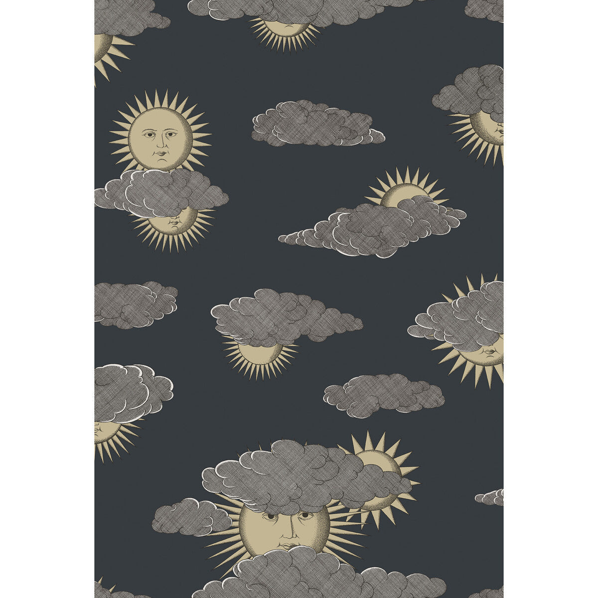 123/2008-CS SOLI E NUVOLE GOLD SILVER COLE & SON Wallpaper