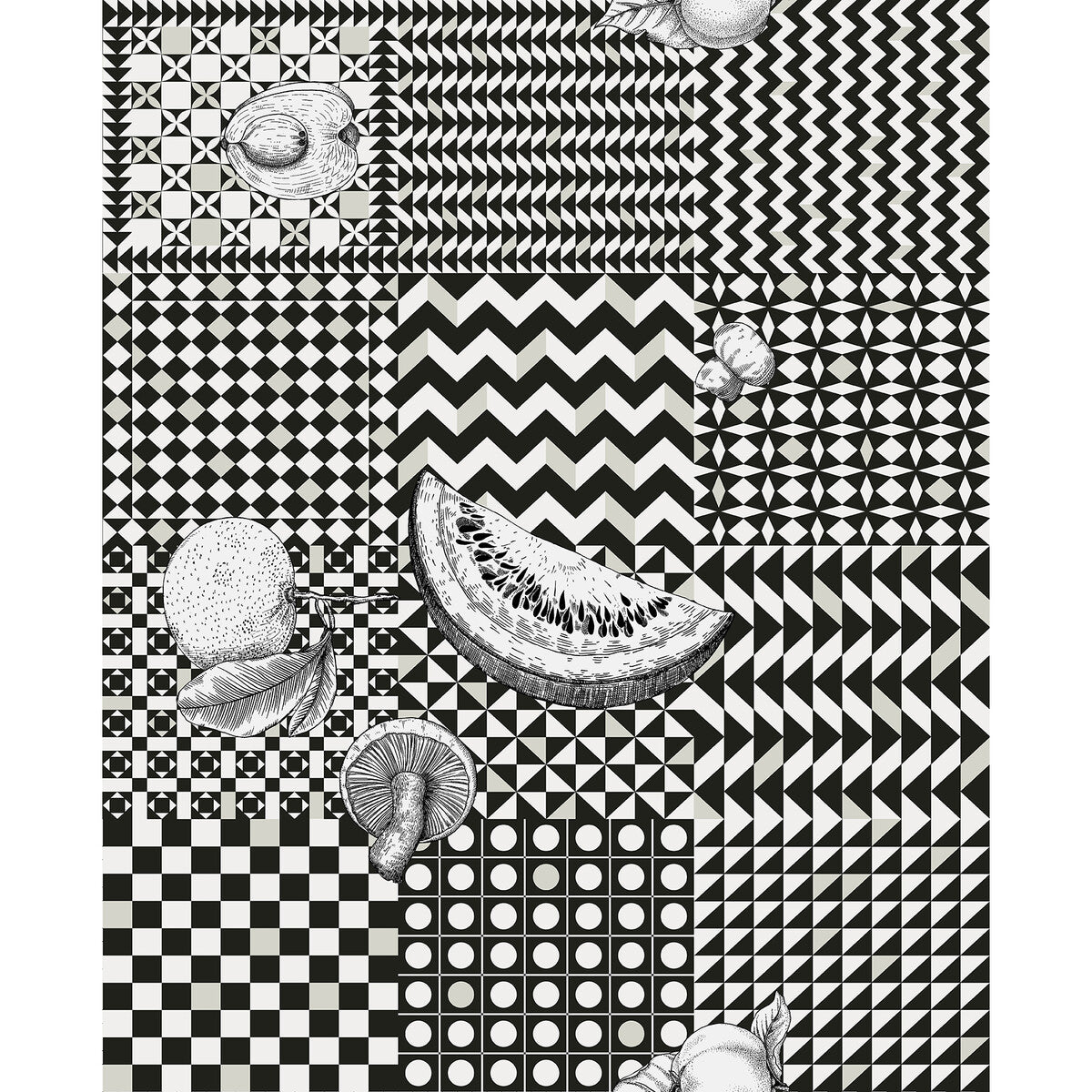 123/6030-CS FRUTTA E GEOMETRICO BLACK COLE & SON Wallpaper
