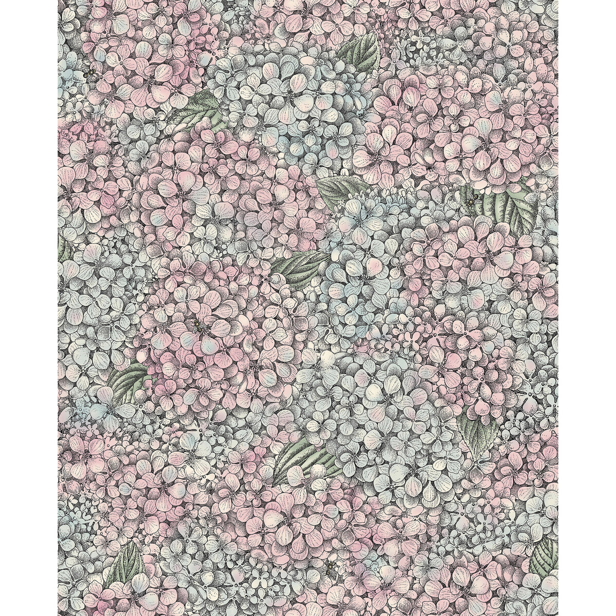 123/9045-CS ORTENSIA PINK & BLUE COLE & SON Wallpaper