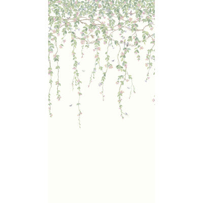 124/2008-CS HUMMINGBIRDS FLORA BLUSH COLE & SON Wallpaper