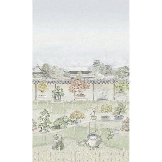 126/1002-CS COLE & SON BONSAI GARDEN POWDER