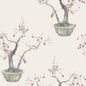 126/2004-CS COLE & SON KAKI PERSIMMON SILVER