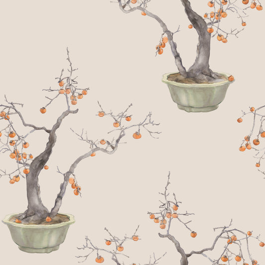 126/2005-CS COLE & SON KAKI PERSIMMON VIOLET