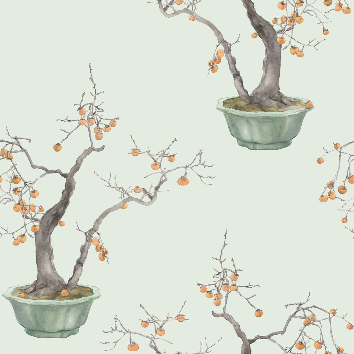 126/2006-CS COLE & SON KAKI PERSIMMON JADE GREEN