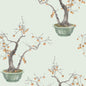 126/2006-CS COLE & SON KAKI PERSIMMON JADE GREEN