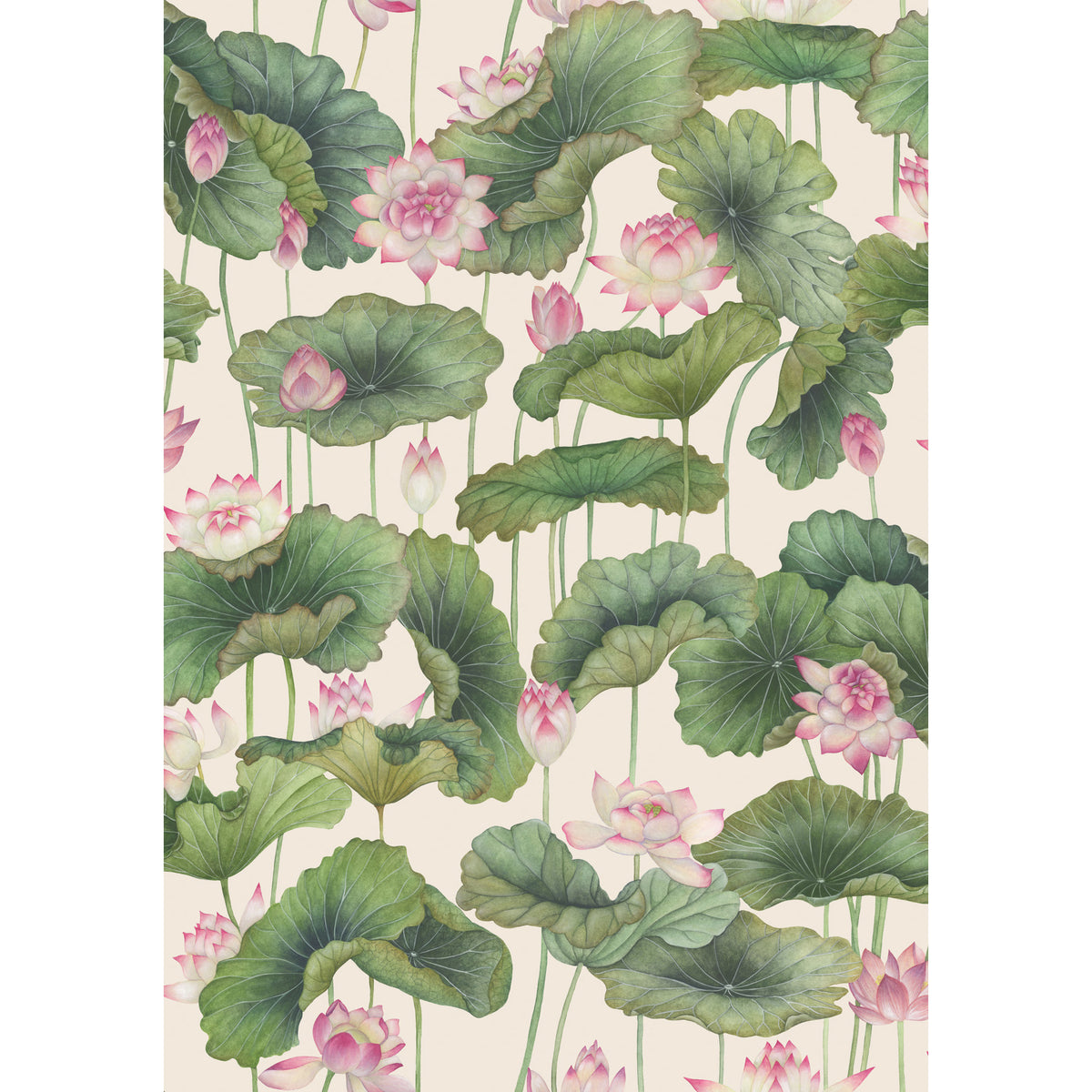 126/9031-CS COLE & SON LILY LOTUS PINK