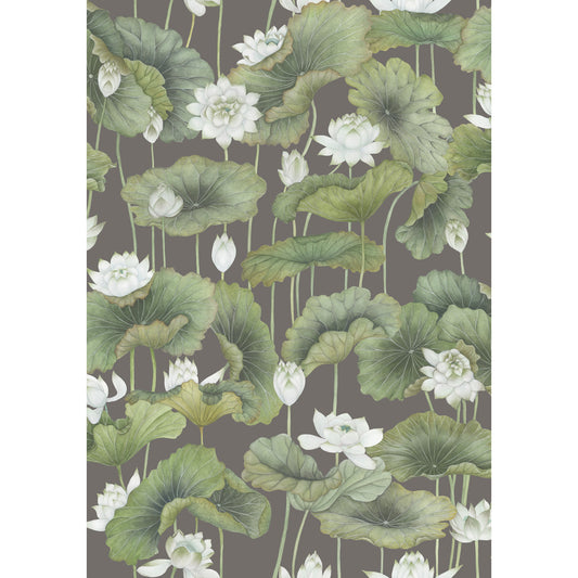 126/9033-CS COLE & SON LILY LOTUS WHITE/CHARCOAL