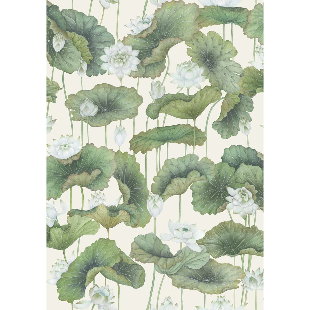 126/9034-CS COLE & SON LILY LOTUS WHITE/CREAM