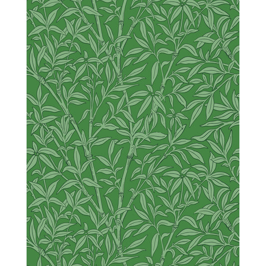 127/1004-CS COLE & SON BAMBOO FOREST EMERALD